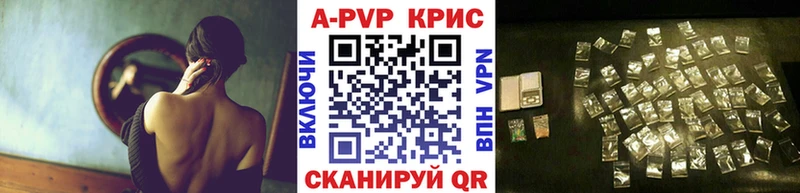 KRAKEN вход Далматово A PVP СК