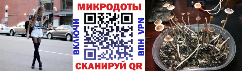 darknet какой сайт  Далматово  Псилоцибиновые грибы ЛСД  купить закладку 